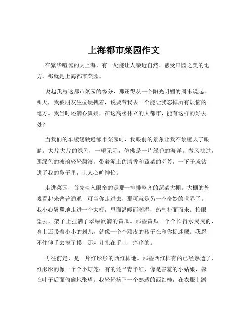 上海都市菜园作文