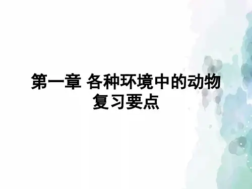 人教版生物-八年级上册 第五单元第一章动物的主要类群 复习课件