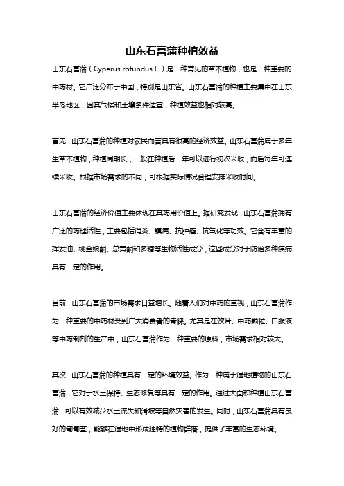 山东石菖蒲种植效益