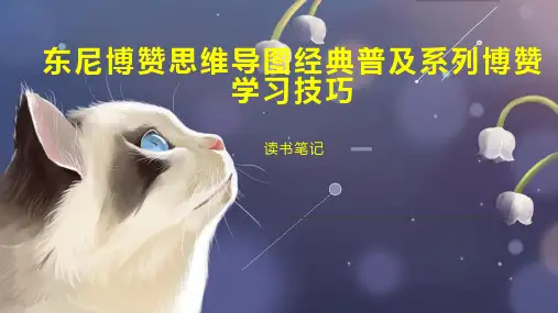 东尼博赞思维导图经典普及系列博赞学习技巧