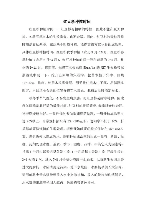 红豆杉种植时间