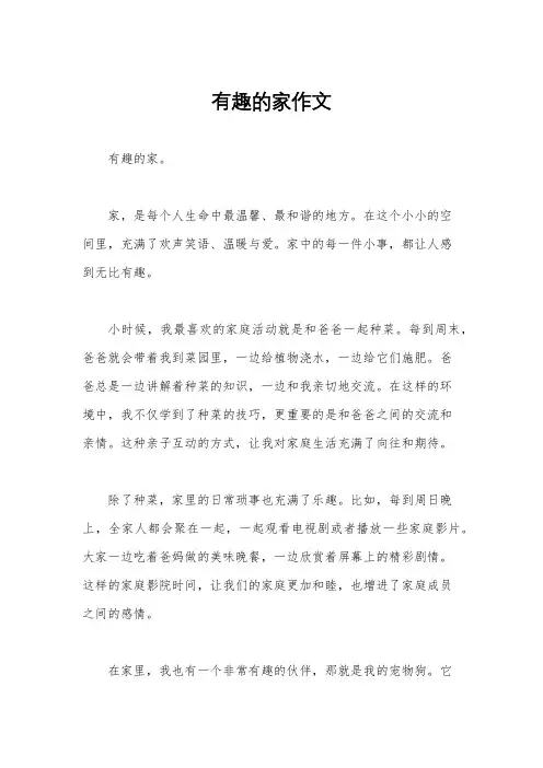有趣的家作文