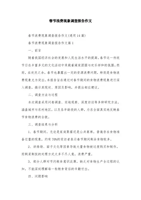 春节浪费现象调查报告作文