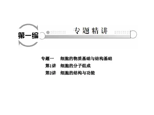 高三生物二轮复习 专题精讲一 细胞的物质基础与结构基础 第1讲 细胞的分子组成课件