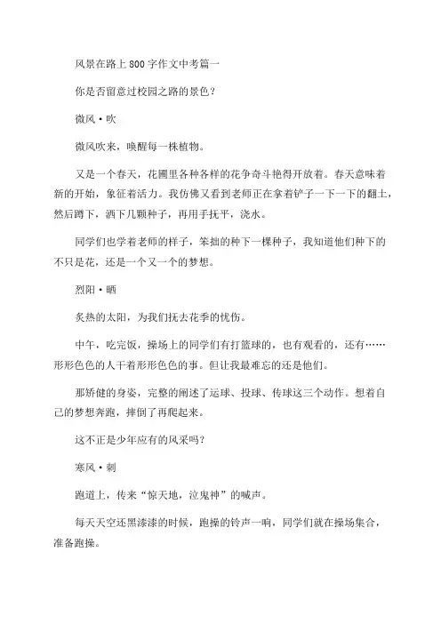 2023年风景在路上800字作文中考(5篇)
