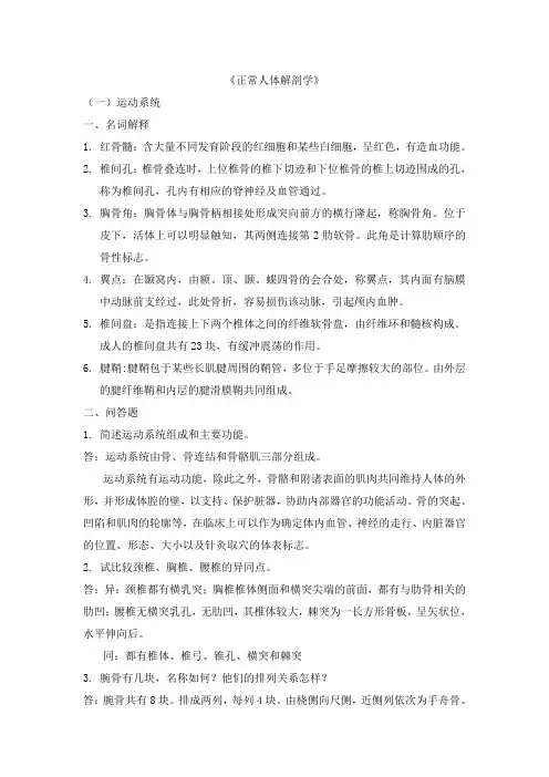 正常人体解剖学