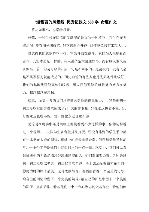 一道靓丽的风景线 优秀记叙文600字 命题作文