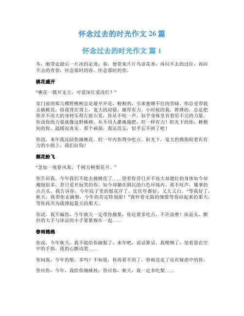 怀念过去的时光作文26篇