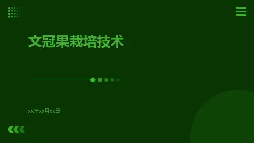 文冠果栽培技术