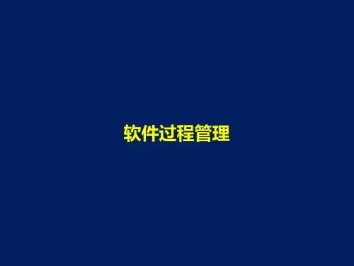 软件过程管理