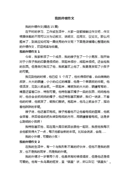 我的外甥作文