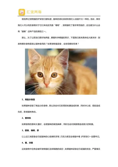 宠物食品之猫咪禁止吃的危险食物有哪些？