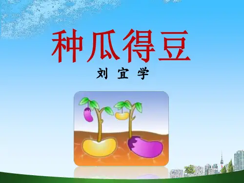 《种瓜得豆》课 件(第二课时)