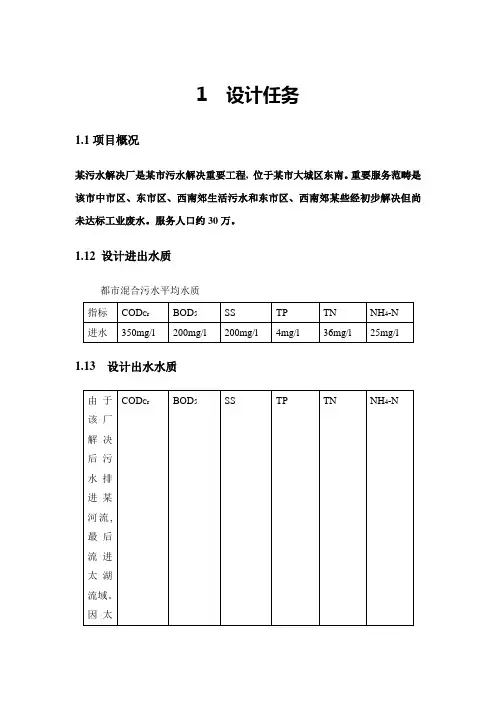 水污染课程设计报告书样本