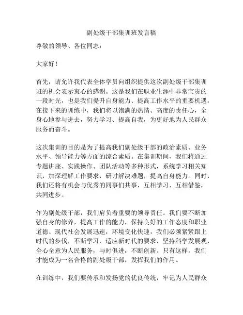 副处级干部集训班发言稿