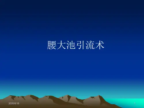 腰大池引流术幻灯片幻灯片