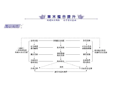 一、亲子代基因型、表现型及比例的相互推导思路1由亲代推