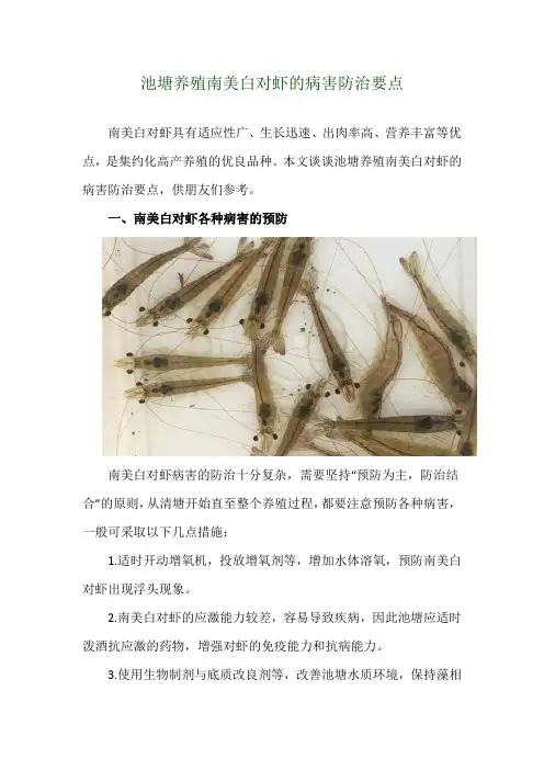 池塘养殖南美白对虾的病害防治要点