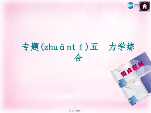 中考物理总复习 专题五 力学综合课件 沪科版