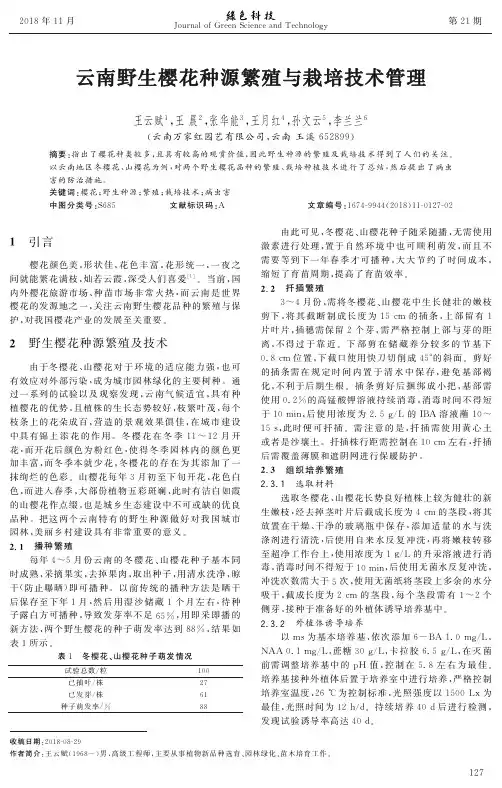 云南野生樱花种源繁殖与栽培技术管理