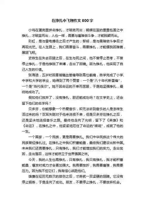 在挣扎中飞翔作文800字
