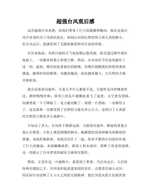 超强台风观后感