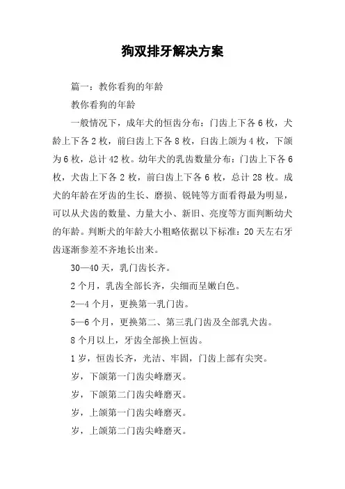 狗双排牙解决方案