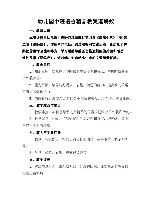 幼儿园中班语言精品教案逗蚂蚁
