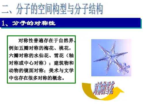 分子的空间构型与分子结构
