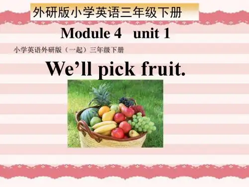 小学英语外研版(一起)三年级下册M+4+U+1+We+ll+pick+fruit.