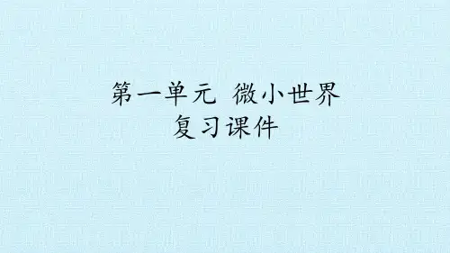 微小世界 复习课件
