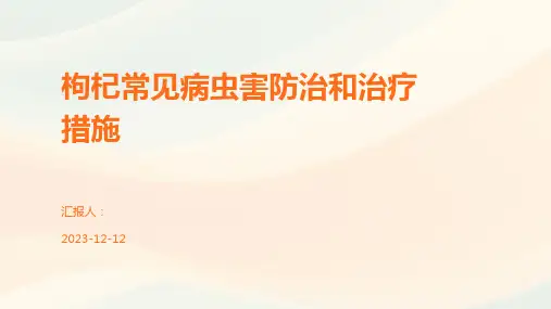 枸杞常见病虫害防治和治疗措施