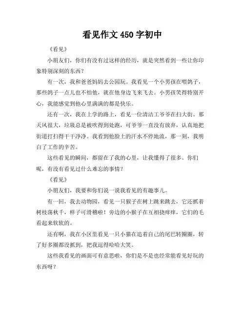 看见作文450字初中