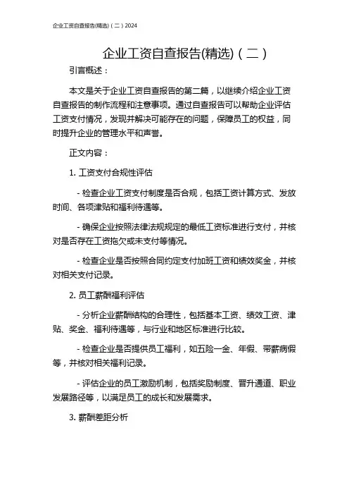 企业工资自查报告(精选)(二)2024