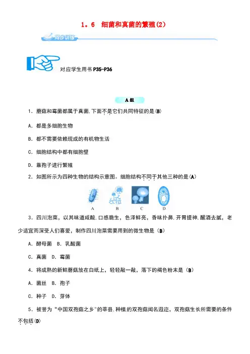 七年级科学下册1.6细菌和真菌的繁殖(2)同步练习浙教版