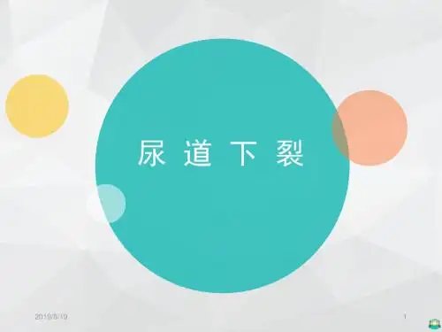 小儿尿道下裂PPT课件