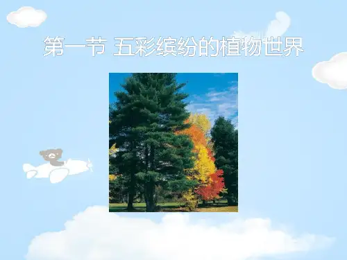 《五彩缤纷的植物世界》PPT课件【优质课件】