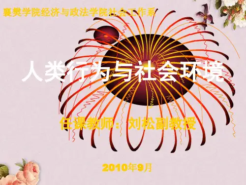 人类行为与社会环境绪论(PPT 105页)
