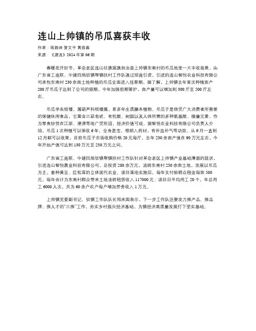 连山上帅镇的吊瓜喜获丰收