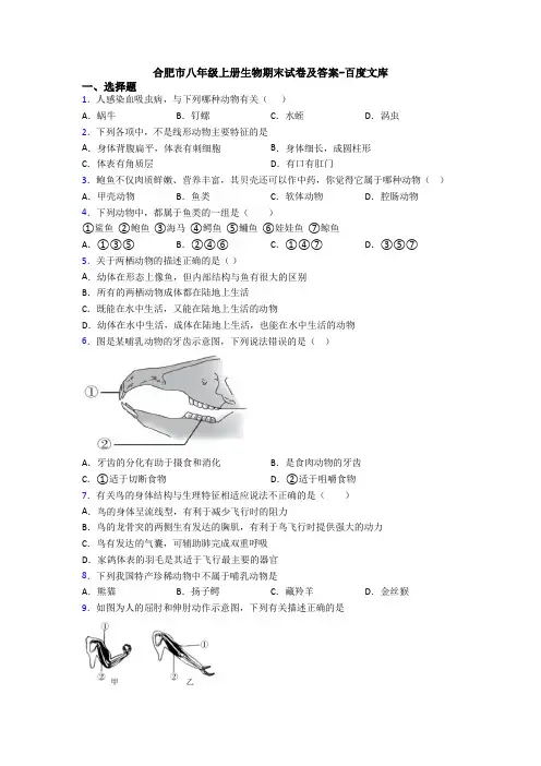 合肥市八年级上册生物期末试卷及答案-百度文库