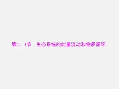 高考生物 一轮复习 第2-3节 生态系统的能量流动和物质循环(必修3)