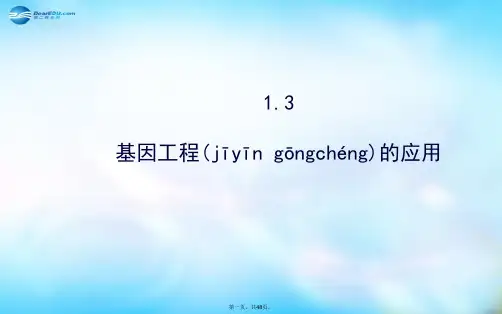 高中生物 1.3基因工程的应用课件 新人教版选修3 