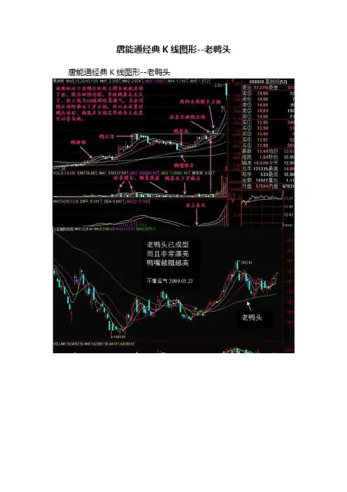 唐能通经典K线图形--老鸭头