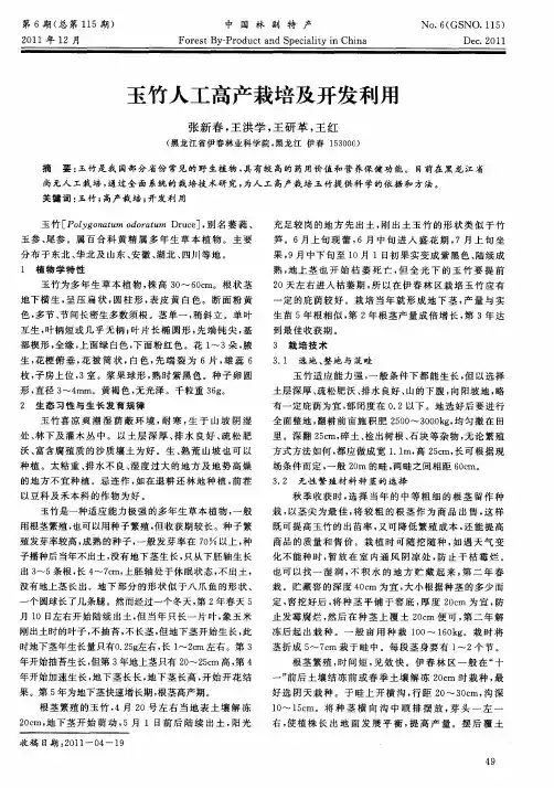 玉竹人工高产栽培及开发利用