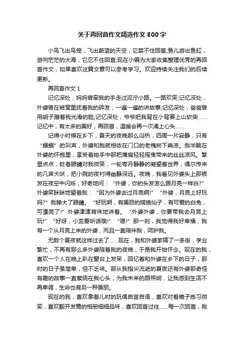 关于再回首作文精选作文800字