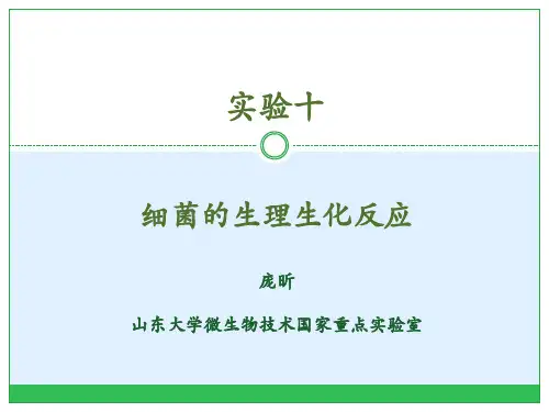 从土壤中分离纯化微生物