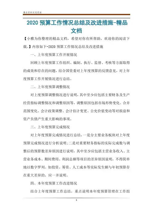 2020预算工作情况总结及改进措施-精品文档