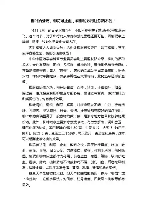 柳叶治牙痛、柳花可止血，春柳的妙用让你猜不到！