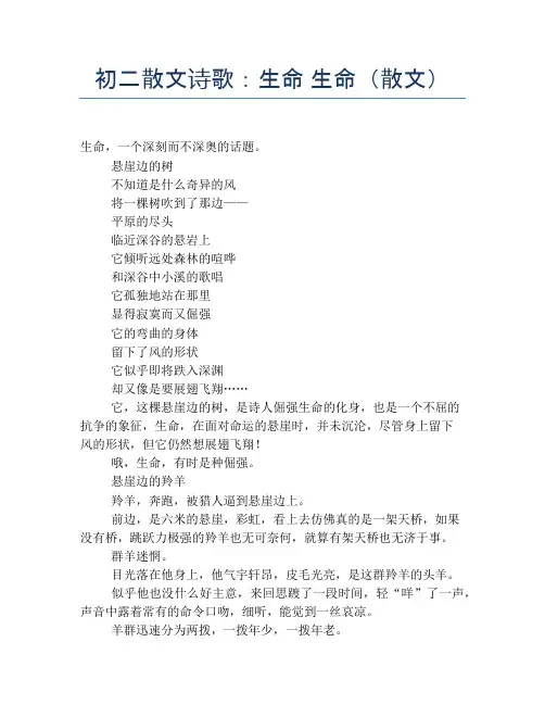 初二散文诗歌：生命 生命(散文)【初二精品作文】