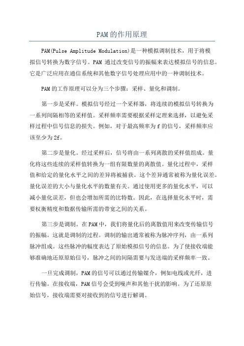 PAM的作用原理